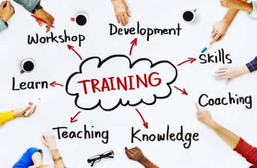 Your Company Needs Training - Here’s Why